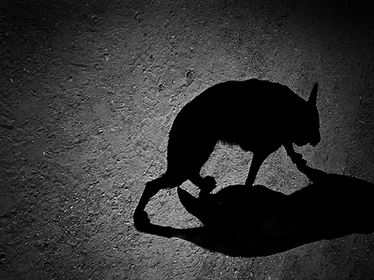 © Antoine d'Agata © Antoine d'Agata