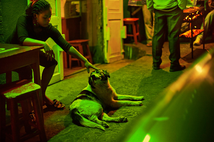 © François-Régis Durand - Tous droits réservés © François-Régis Durand - Tous droits réservés