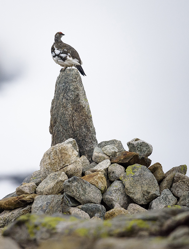 Réussissez vos photos de montagne au mois de juin grâce à Jérôme Obiols