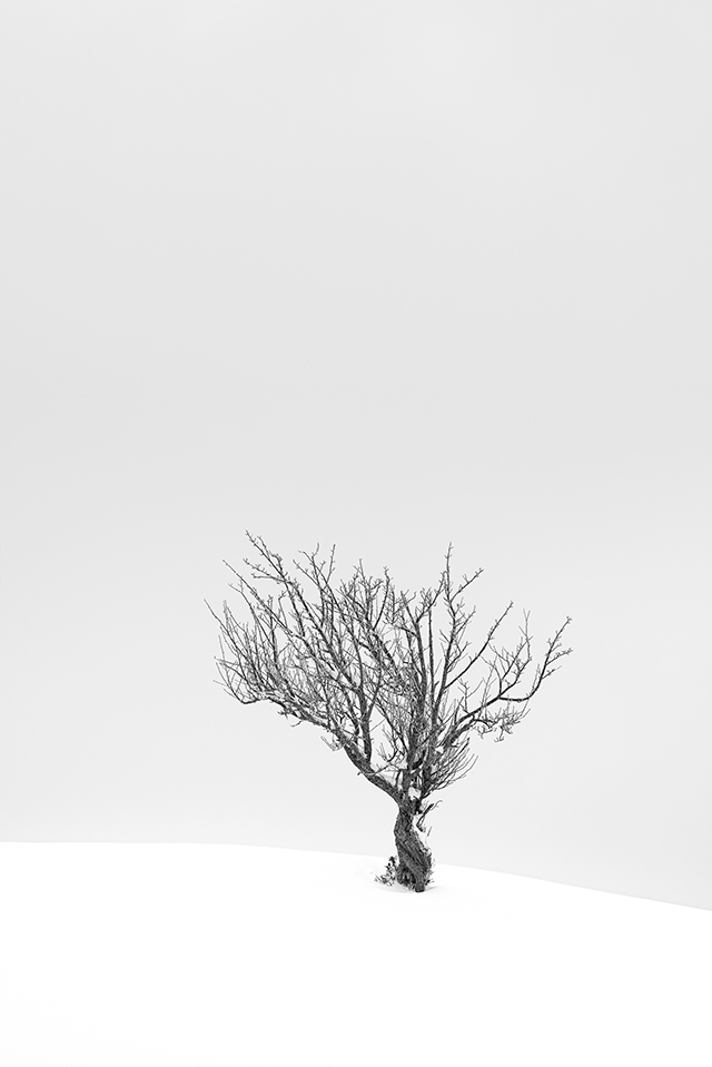 En mars, photographiez à contrejour un paysage enneigé En mars, photographiez à contrejour un paysage enneigé