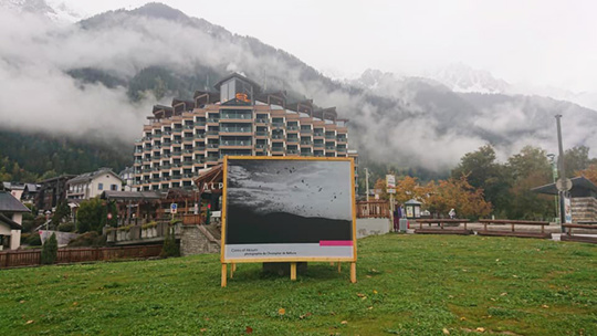 Le festival Shoot célèbre la photographie et son écrin, le livre Le festival Shoot célèbre la photographie et son écrin, le livre