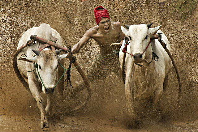 Open category winner / Photojournalisme  • Tong Leng Liew - Tous droits réservés