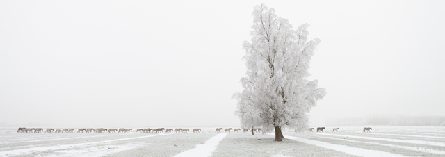 Open category winner / Sciences et Nature • Bas Meelker - Tous droits réservés
