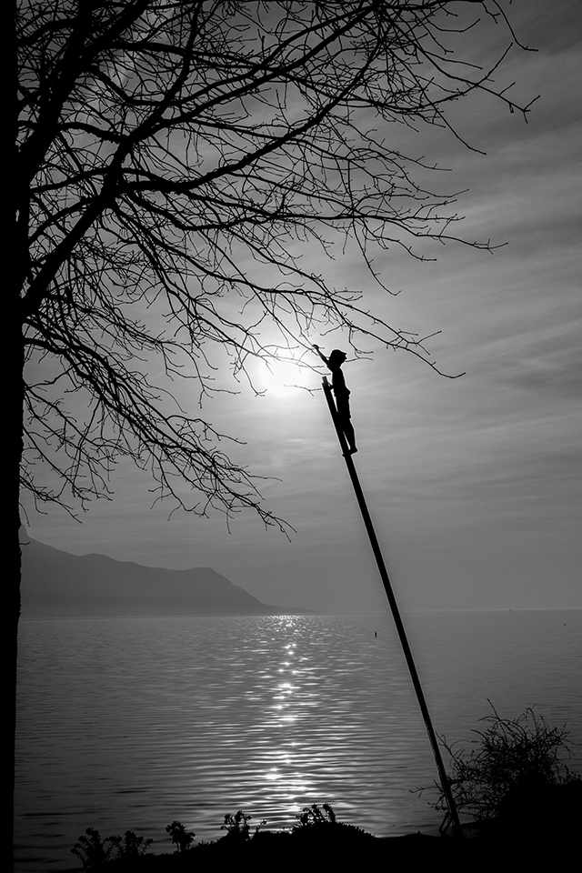 Semaine 3 • Les 3 lauréats Vive la vie ! dans la catégorie Noir et blanc