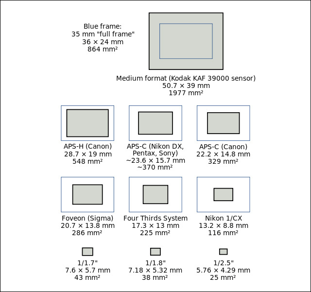 Taille des principaux capteurs © RenniePet