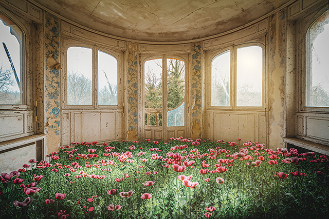 Semaine 6 • Les 3 lauréats Vive la vie ! dans la catégorie Couleur Semaine 6 • Les 3 lauréats Vive la vie ! dans la catégorie Couleur