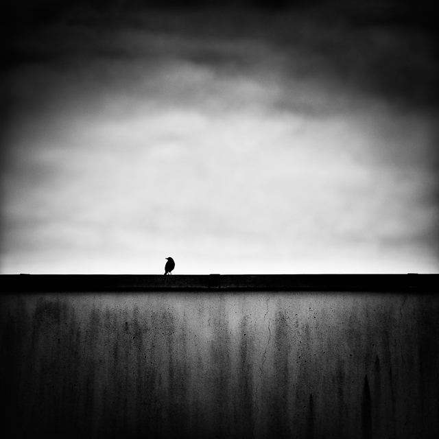 Les précieux de Laurent Lavergne à l'honneur aux Echappées Belles Les précieux de Laurent Lavergne à l'honneur aux Echappées Belles