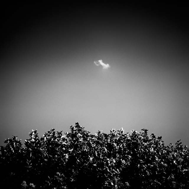 Les précieux de Laurent Lavergne à l'honneur aux Echappées Belles Les précieux de Laurent Lavergne à l'honneur aux Echappées Belles