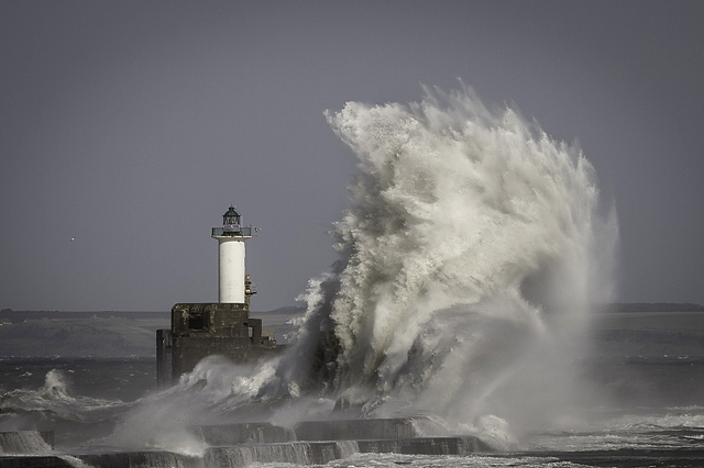 © Frédéric Briois - Tous droits réservés - en vente sur http://www.photographespourlavie.com