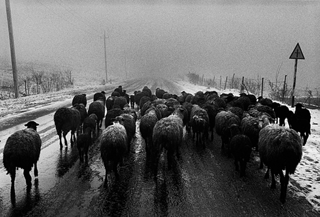 L’Arménie blessée vue par la photographe italienne Antonella Monzoni (interview)