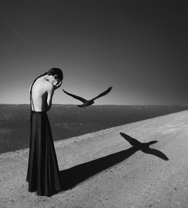 © Noell S. Oszvald - Tous droits réservés