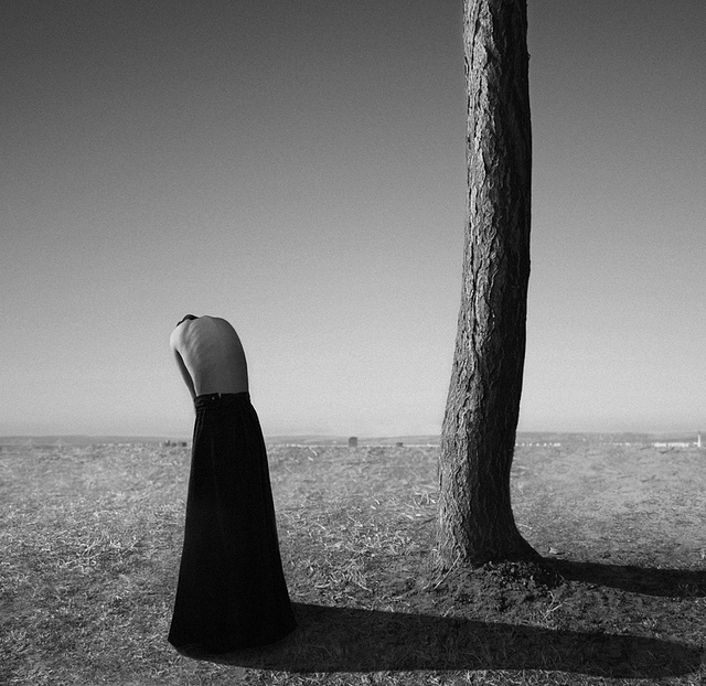 Escape from reality • Noell S. Oszvald (série)