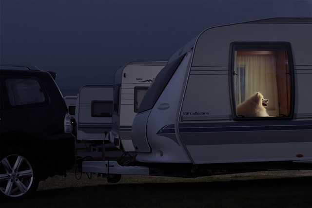 The Silence of Dogs in Cars • Martin Usborne (série) The Silence of Dogs in Cars • Martin Usborne (série)