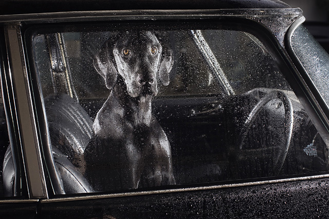 © Martin Usborne Studio - All rights reserved © Martin Usborne Studio - All rights reserved
