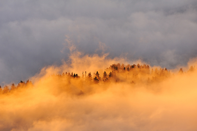 © Sylvain Clapot © Sylvain Clapot