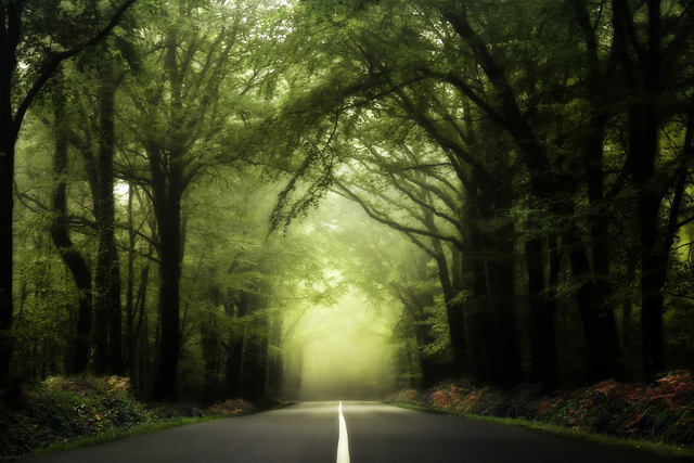 © Philippe Manguin © Philippe Manguin