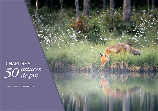 La photo de paysage - Le guide pour bien débuter • Les guides pratiques Compétence Photo La photo de paysage - Le guide pour bien débuter • Les guides pratiques Compétence Photo
