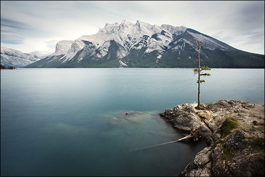 © Renaud Julian © Renaud Julian