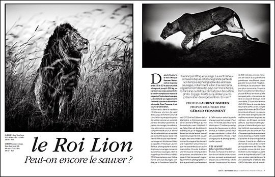 Peut-on encore sauver le Roi Lion ? (entretien avec Laurent Baheux, publié dans Compétence Photo Voyage) Peut-on encore sauver le Roi Lion ? (entretien avec Laurent Baheux, publié dans Compétence Photo Voyage)