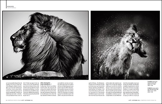 Peut-on encore sauver le Roi Lion ? (entretien avec Laurent Baheux, publié dans Compétence Photo Voyage) Peut-on encore sauver le Roi Lion ? (entretien avec Laurent Baheux, publié dans Compétence Photo Voyage)