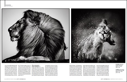 Peut-on encore sauver le Roi Lion ? (entretien avec Laurent Baheux, publié dans Compétence Photo Voyage)