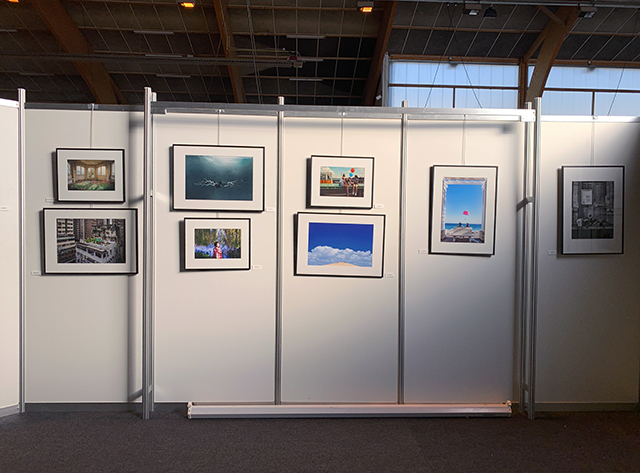 L'exposition "Vive la vie !" aux Confrontations Photo de Gex L'exposition "Vive la vie !" aux Confrontations Photo de Gex