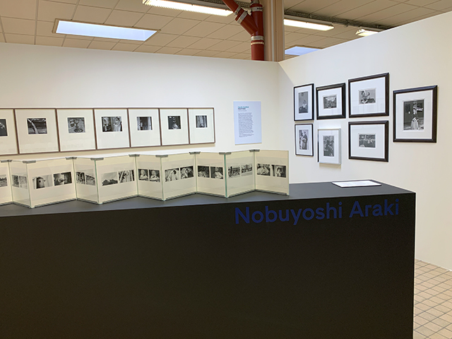 Nobuyoshi Araki au Festival du Regard 2021 (sur les murs : Ralph Eugene Meatyard)