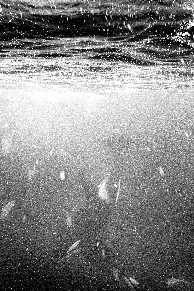 © Sébastien Van Malleghem / Renegades agency © Sébastien Van Malleghem / Renegades agency