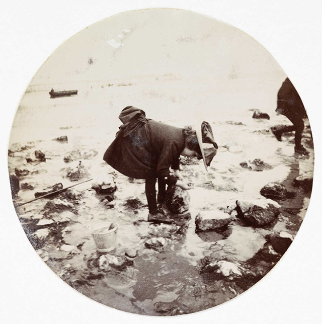 Des clichés du XIXe siècle réalisés par les premiers photographes amateurs Des clichés du XIXe siècle réalisés par les premiers photographes amateurs