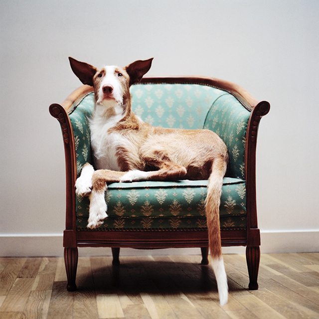 © Mathias de Lattre - Tous droits réservés © Mathias de Lattre - Tous droits réservés