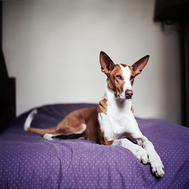 Salvados • Mathias de Lattre (série) Salvados • Mathias de Lattre (série)