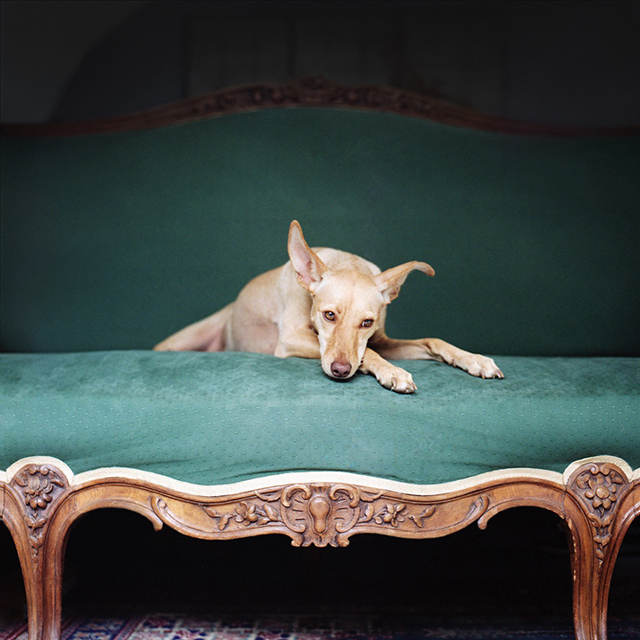 Salvados • Mathias de Lattre (série) Salvados • Mathias de Lattre (série)