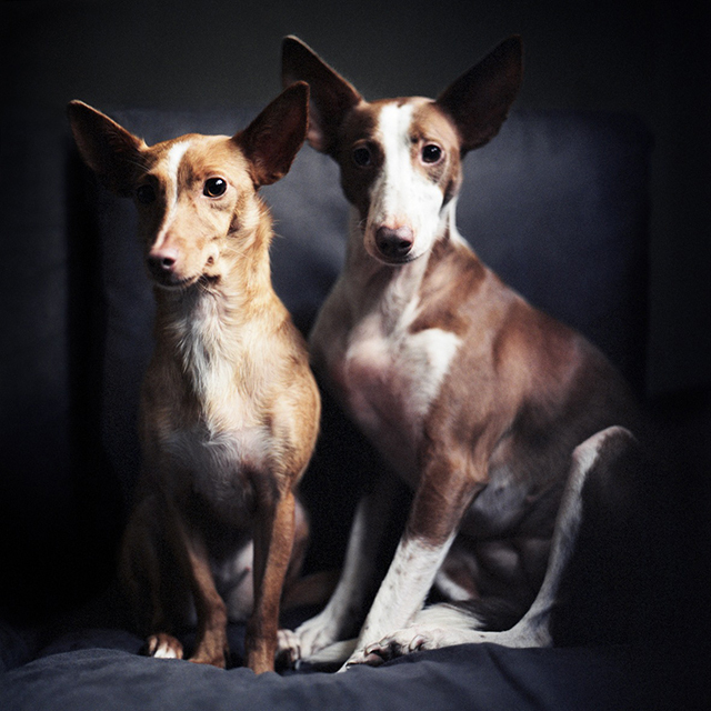 Salvados • Mathias de Lattre (série) Salvados • Mathias de Lattre (série)