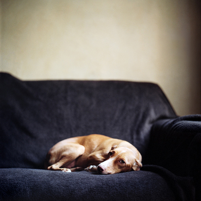 Salvados • Mathias de Lattre (série) Salvados • Mathias de Lattre (série)