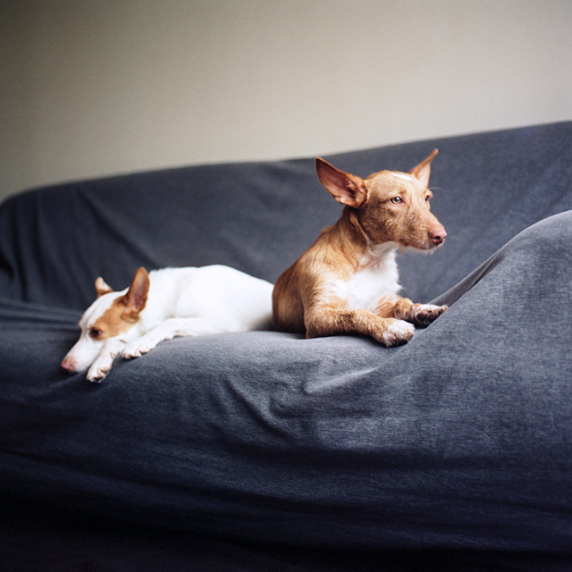 Salvados • Mathias de Lattre (série) Salvados • Mathias de Lattre (série)