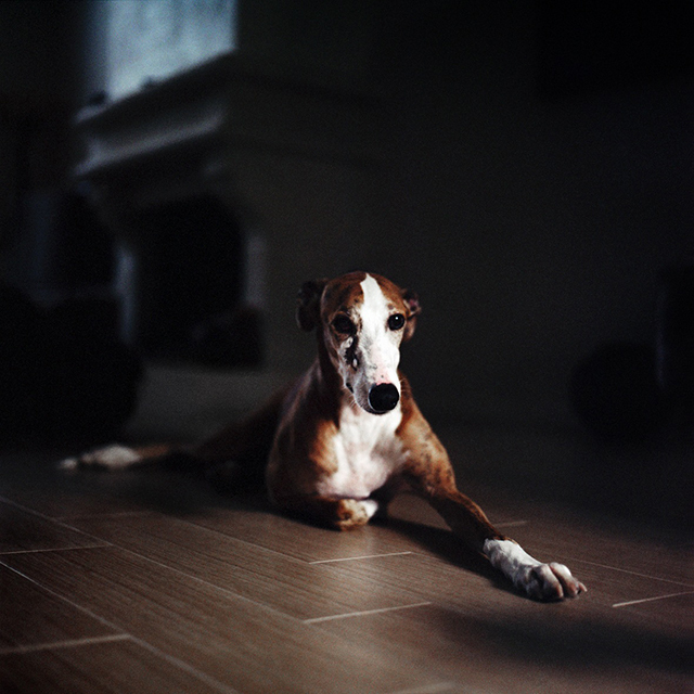 Salvados • Mathias de Lattre (série) Salvados • Mathias de Lattre (série)