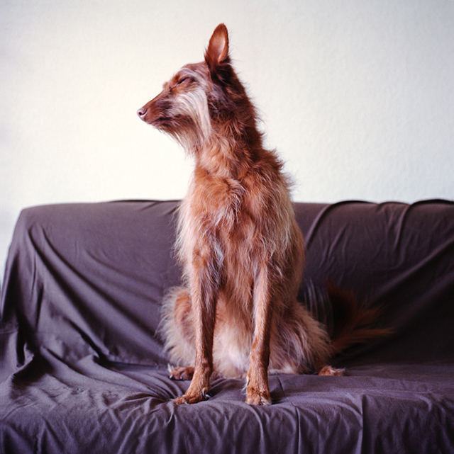 Salvados • Mathias de Lattre (série) Salvados • Mathias de Lattre (série)