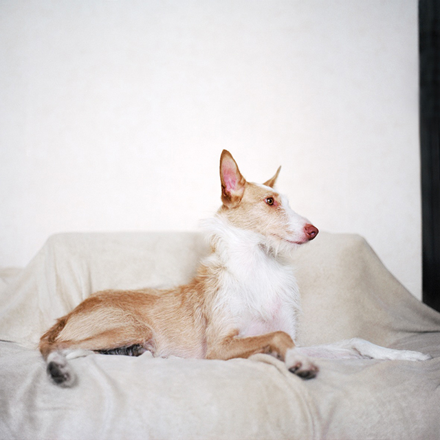 Salvados • Mathias de Lattre (série) Salvados • Mathias de Lattre (série)