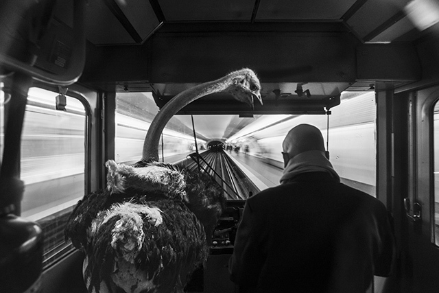 Animetro • Thomas Subtil and Clarisse Rebotier (series) Animetro • Thomas Subtil and Clarisse Rebotier (series)
