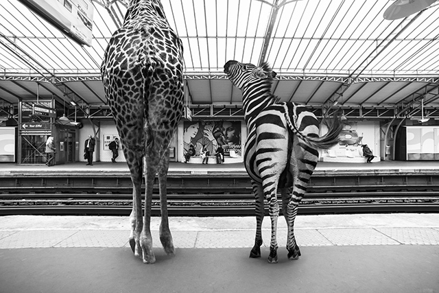 Animetro • Thomas Subtil and Clarisse Rebotier (series) Animetro • Thomas Subtil and Clarisse Rebotier (series)