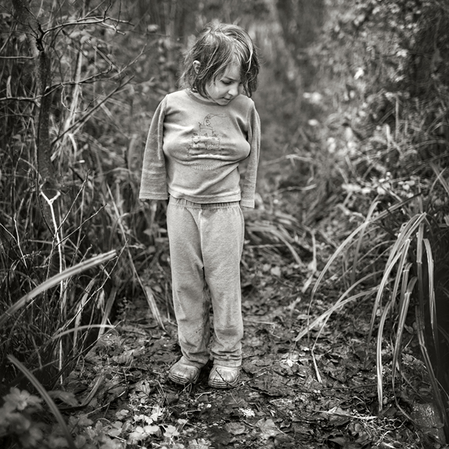 Dans l'insouciance de quelques éclats de vie, par Alain Laboile