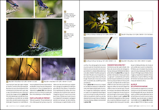 Compétence Photo Numéro 89 : La netteté • La lumière naturelle • Macro & proxy Compétence Photo Numéro 89 : La netteté • La lumière naturelle • Macro & proxy