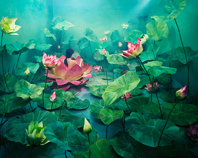 Les réflexions à six faces de JeeYoung Lee Les réflexions à six faces de JeeYoung Lee