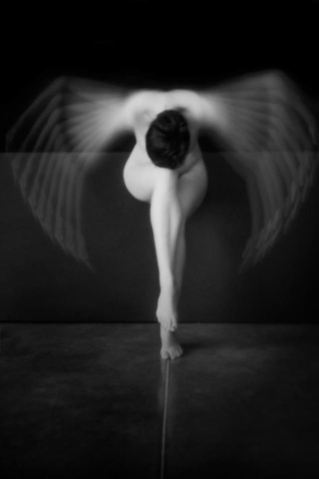 © Julie Poncet - Tous droits réservés © Julie Poncet - Tous droits réservés