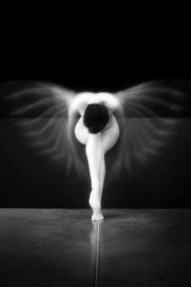 Les Sténocorpés de Julie Poncet à l'honneur aux Echappées Belles Acte 5 Les Sténocorpés de Julie Poncet à l'honneur aux Echappées Belles Acte 5