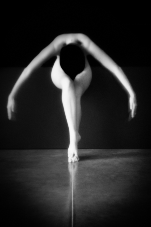 Les Sténocorpés de Julie Poncet à l'honneur aux Echappées Belles Acte 5 Les Sténocorpés de Julie Poncet à l'honneur aux Echappées Belles Acte 5