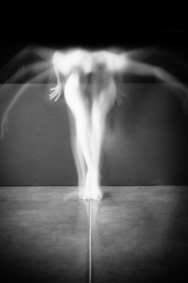 Les Sténocorpés de Julie Poncet à l'honneur aux Echappées Belles Acte 5 Les Sténocorpés de Julie Poncet à l'honneur aux Echappées Belles Acte 5