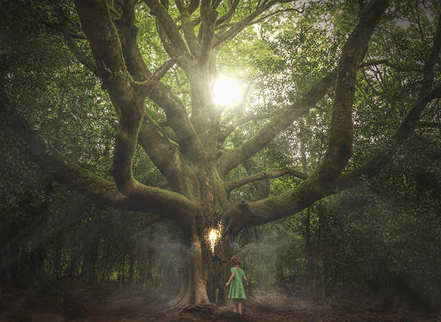 © Erwann Martin © Erwann Martin