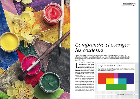 Le Format Raw (2e édition) • Les guides pratiques Compétence Photo