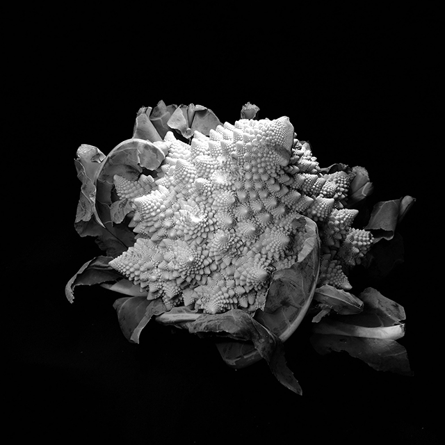 © Richard Hortiz © Richard Hortiz